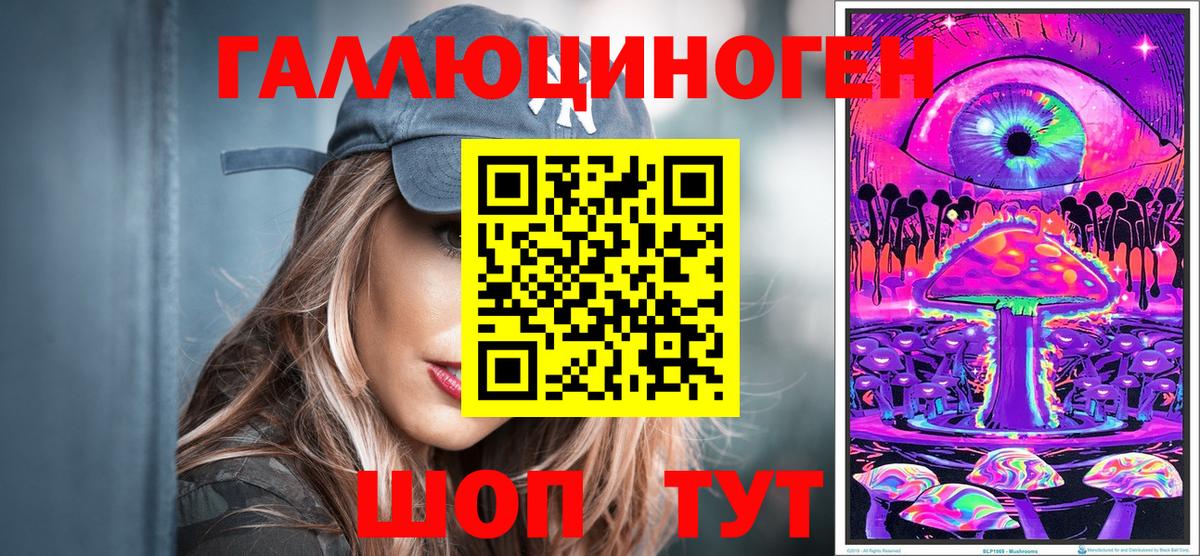 Галлюциногенные грибы Psilocybine cubensis Сертолово