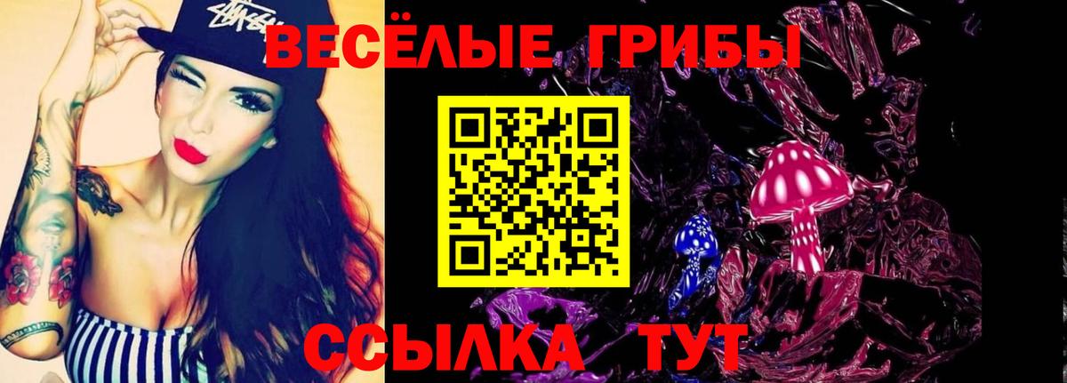 Сертолово  Галлюциногенные грибы GOLDEN TEACHER  Вход с VPN 